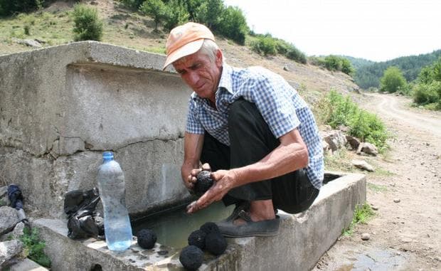 Мумио в село Кушла