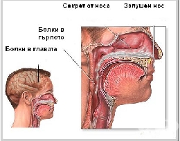 клинична пътека менингит