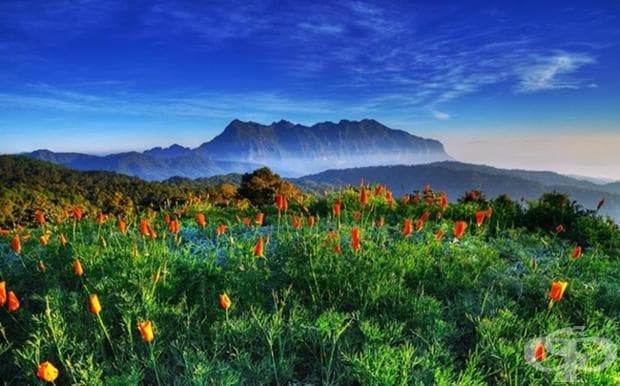 Chiang Dao, Тайланд