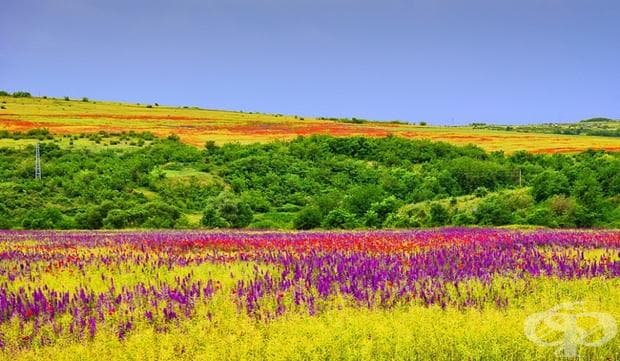 Пловдив, България