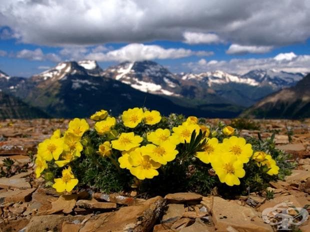 Glacier National Park, Монтана