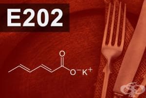 E202 - Калиев сорбат (Potassium sorbate)