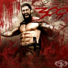 Тренировъчна програма „300“