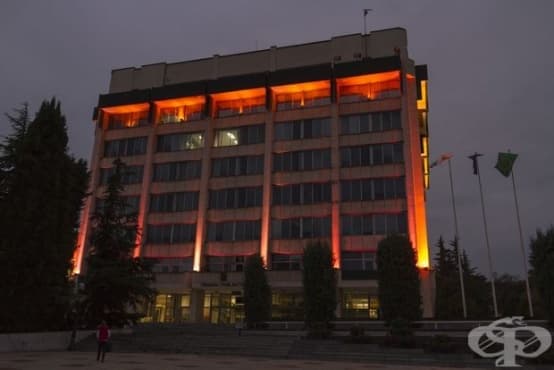 Община Стара Загора светна в розово в знак на съпричастност - изображение
