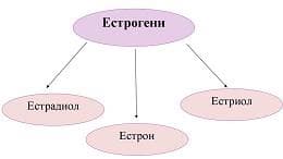 естрогени