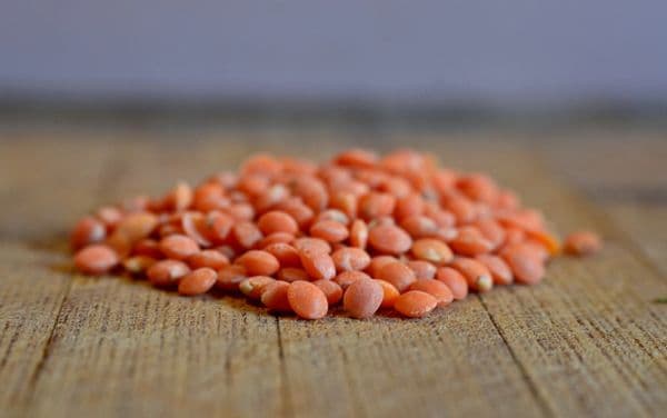 Червена леща Червена леща