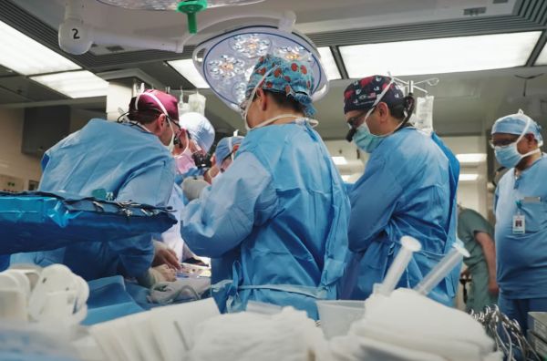 Ксенотрансплантацията е единственият шанс за Тим Андрюс, който живее със свинския бъбрек рекордните 271 дни. ксенотрансплантация