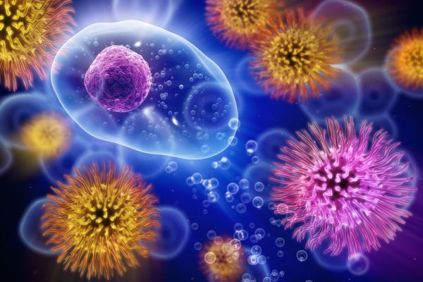 Вирусът Епщайн-Бар, който е безвреден за повечето хора, може да предизвика лупус Вирус