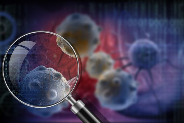 Съществува връзка между загубата на пигмент в косата и механизмите, които могат да предпазят от рак Рак