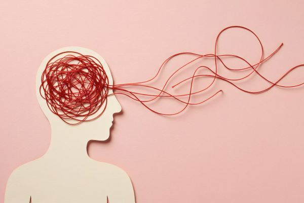 Лимбичната система е ключова за емоционалната обработка Емоции