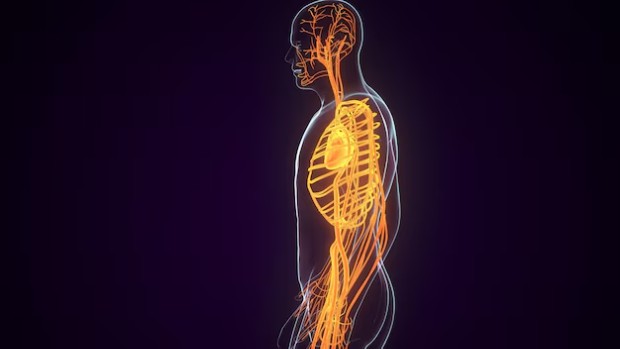 �������� ��� ������ �� ���������� ����