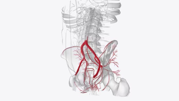 ������� �� �����