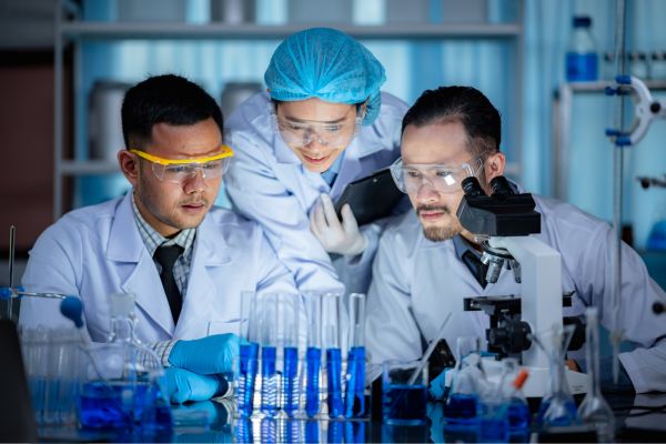 ������ ����������