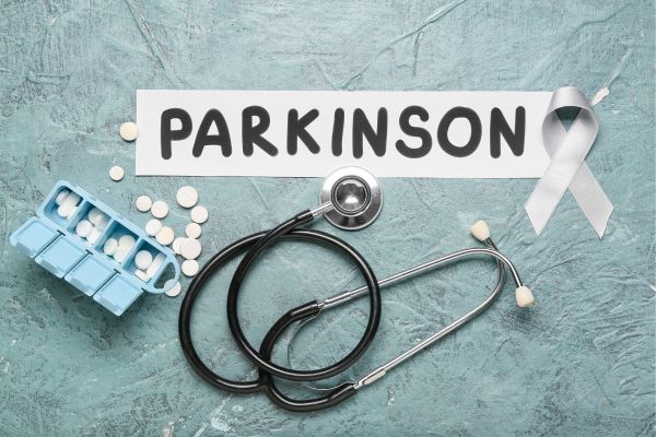 ������ �� ���������