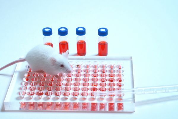 ����������� � �����