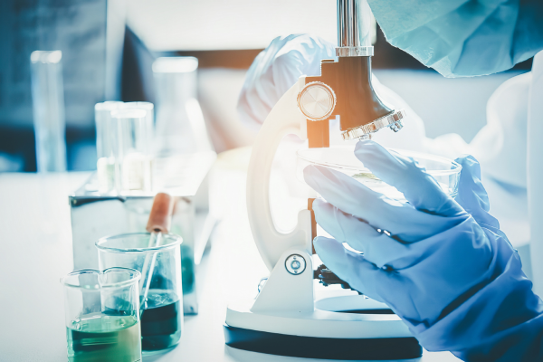 ����, ����� ������ � ���������