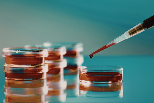 ������ ����