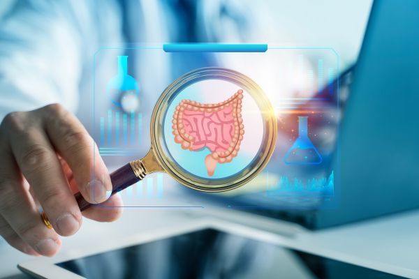 ������ ���������