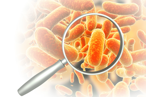 ������ �������� � ����