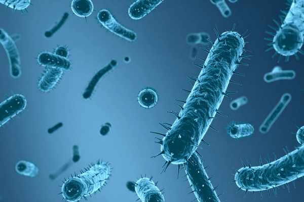 ���� ��������