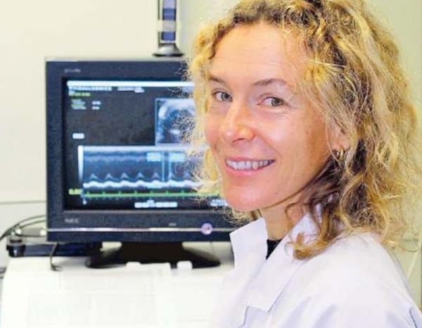 ����. ������ �������