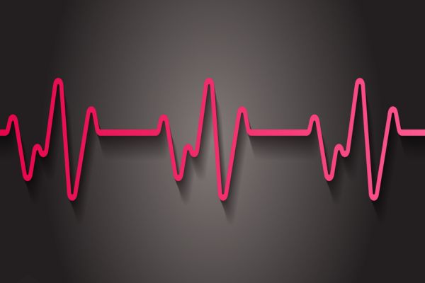 �������� �����