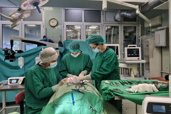 Присаждането на кост от таза в челюстта е сложна операция и изисква изключителен синхрон в работата на различните специалисти. операцията