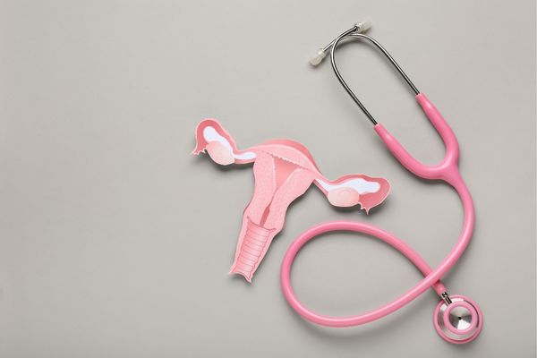 3Dмоделът на матка дава възможност да се научи повече на процесите на зачеване и за безплодието. матка