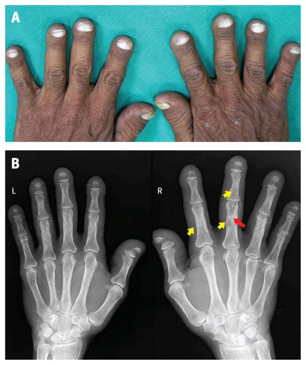 �������������