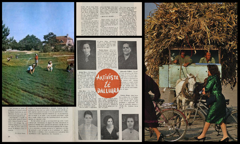 ������ �� �������