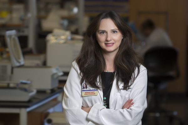 ����. ��� �������-�����