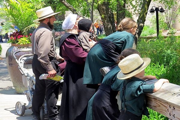 Жените амиши не могат да останат бездетни