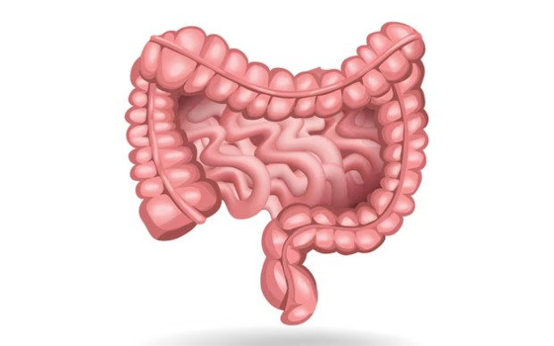 �������� �� �������� �����