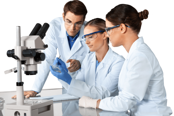 ����� � �����������