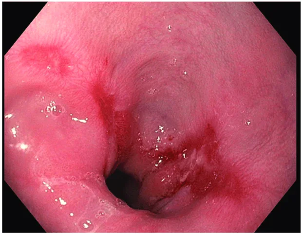 ���������� ��� ������� �����������