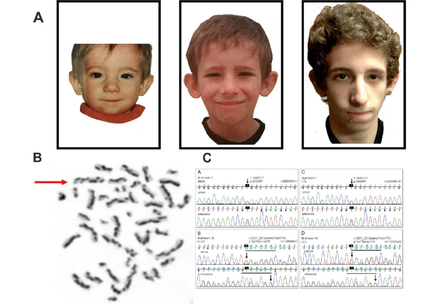 ������ �� ���� ��� ������� �� ����?