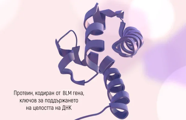 �������, ������� �� BML ����