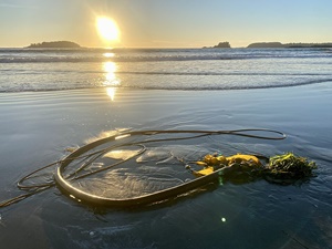 ���� ������