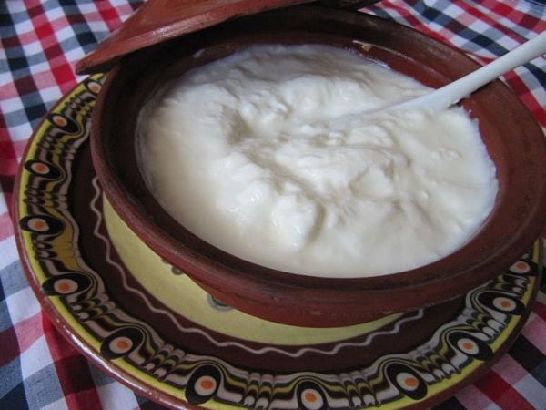 Българско кисело мляко