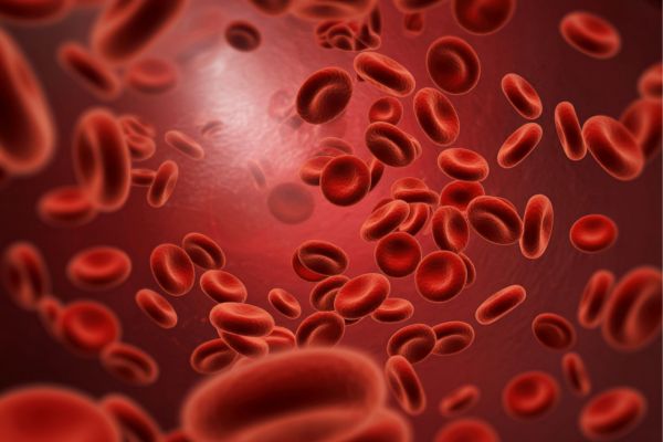 ���������� ����������