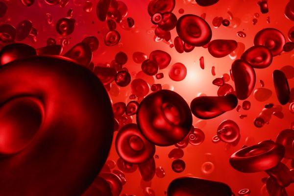 ������� ������ ����