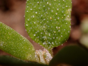 ���� ���� ������