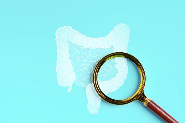 ������ ���������