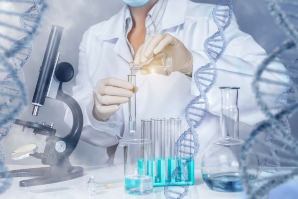 ���� � �����������