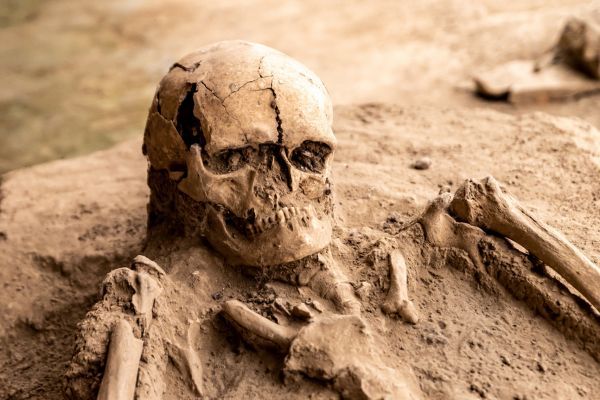 ������� �������