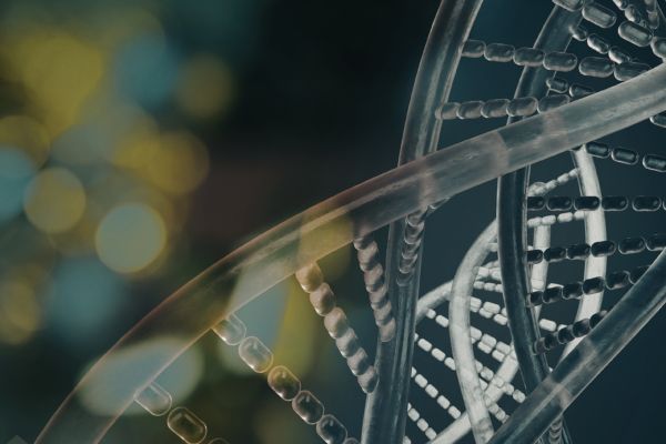 Промени в два гена на ДНК са причината за неонаталния диабет, който засяга един на всеки 17 души. гени