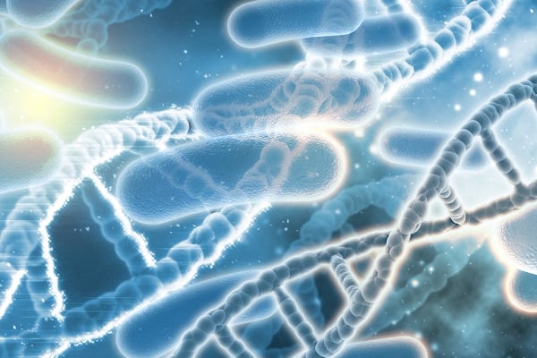 чревни бактерии и ДНК спирала на син фон