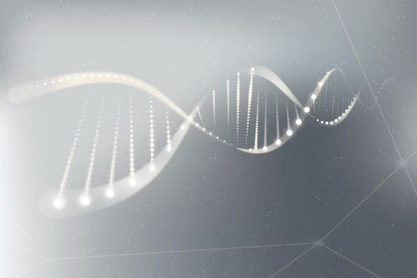 ДНК спирала на сив фон
