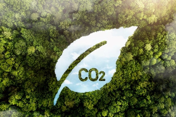    CO2    