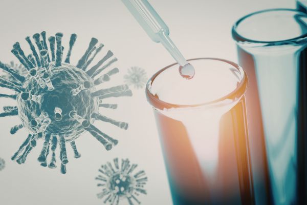 ������ �����